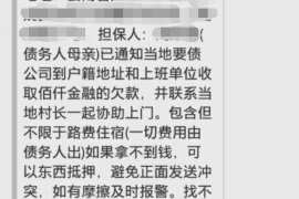 三亚为什么选择专业追讨公司来处理您的债务纠纷？